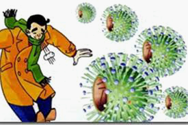 Бактериальные и вирусные заболевания человека. Их профилактика